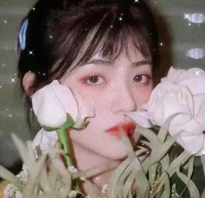承欢记
