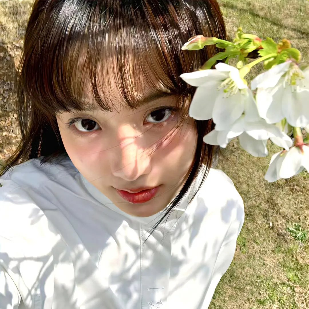 香蜜沉沉烬如霜