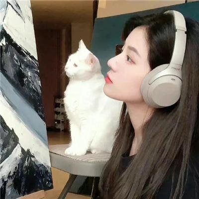 御赐小仵作